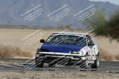 media/Oct-12-2025-Lucky Dog Racing (Sun) [[8adb5568ea]]/3-Third    Stint/4-Turn 4 (Tree of Life)/